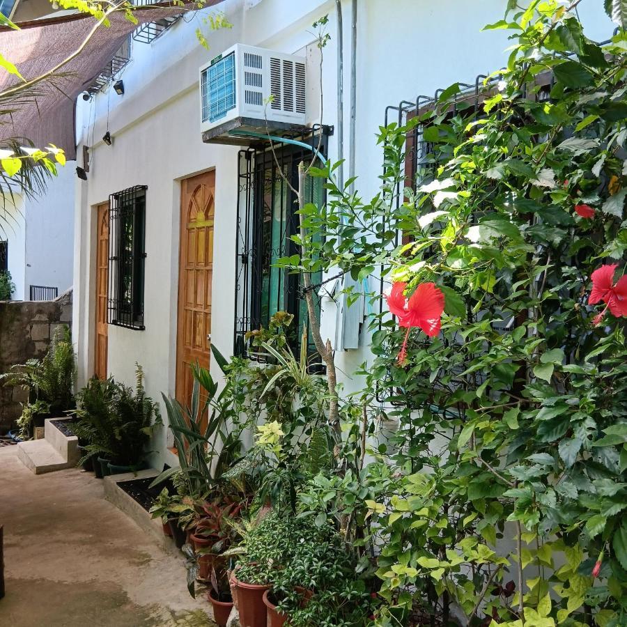 Susing Seaside Guesthouse Moalboal Εξωτερικό φωτογραφία